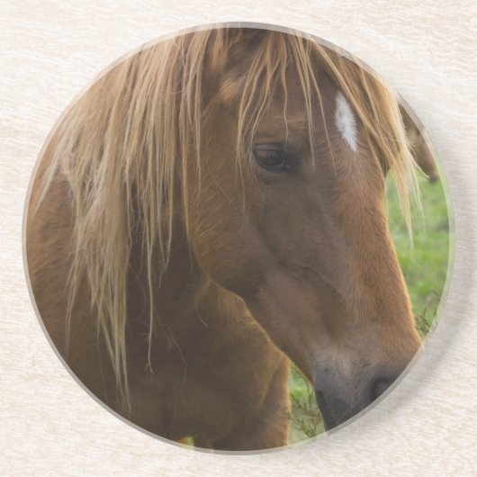 Dessous De Verre En Grès Cheval Bonjour (Devant)