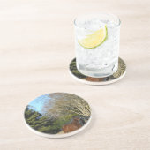 Dessous De Verre En Grès Cheval Brown contre une clôture (Côté)