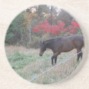 Dessous De Verre En Grès Cheval Brown dans les arbres d'automne rouges