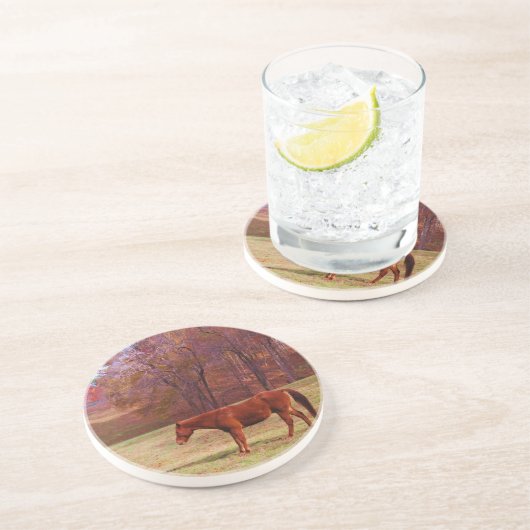 Dessous De Verre En Grès Cheval Brown dans un champ d'herbe (Côté)