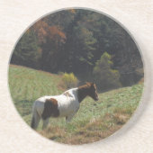 Dessous De Verre En Grès Cheval Brown et blanc à l'étang d'automne (Devant)