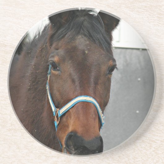 Dessous De Verre En Grès cheval heureux (Devant)