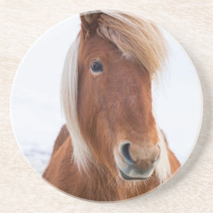 Dessous De Verre En Grès Cheval islandais en hiver