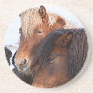 Dessous De Verre En Grès Cheval islandais en hiver en Islande