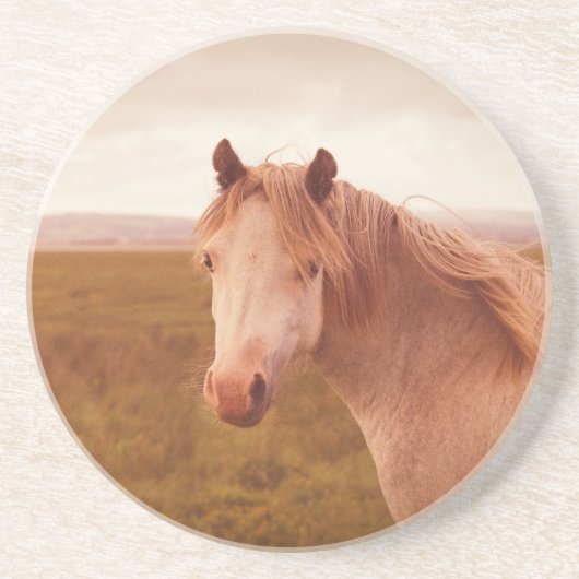 Dessous De Verre En Grès cheval sauvage vintage (Devant)