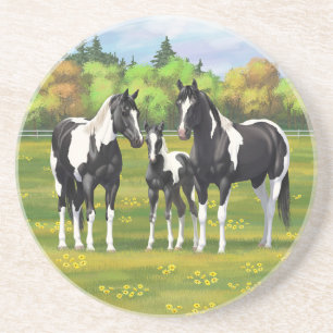 Dessous De Verre En Grès Chevaux De Peinture De Pinto Noir En Pâturage Été
