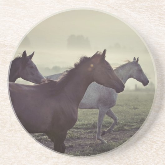 Dessous De Verre En Grès Chevaux sauvages (Devant)