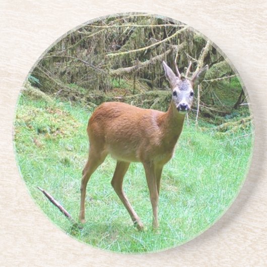 Dessous De Verre En Grès Chevreuil Habitat Naturel Faune Grès (Devant)