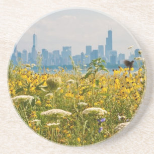 Dessous De Verre En Grès Chicago comme vu de l'oiseau du port de Montrose