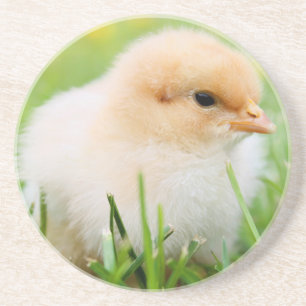 Dessous De Verre En Grès Chick