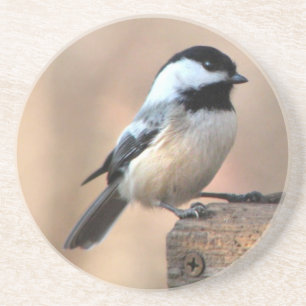 Dessous De Verre En Grès Chickadee dans la lumière d'or