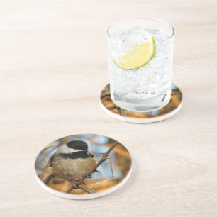 Dessous De Verre En Grès Chickadee Songbird, Joli Espérant