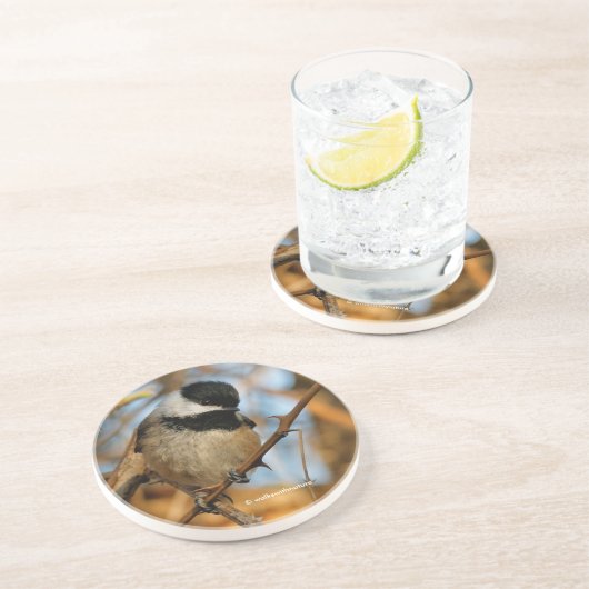 Dessous De Verre En Grès Chickadee Songbird, Joli Espérant (Côté)