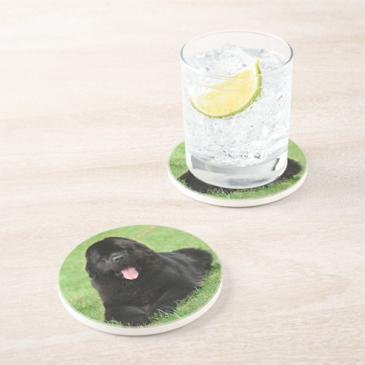 Dessous De Verre En Grès Chien de Terre-Neuve (Côté)