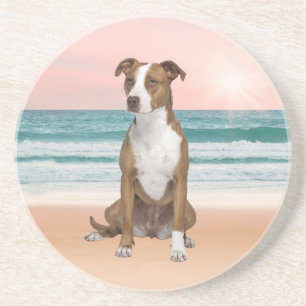 Dessous De Verre En Grès Chien mignon de Pitbull se reposant sur la plage