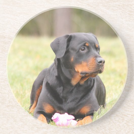 Dessous De Verre En Grès Chien Rottweiler (Devant)