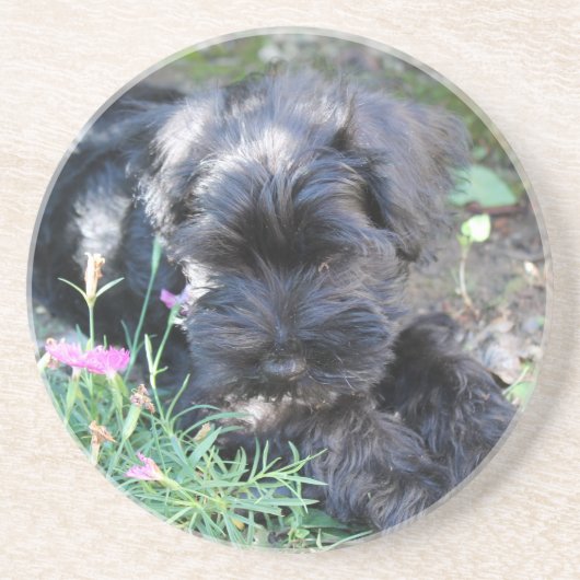 Dessous De Verre En Grès Chien Terrier Mignon (Devant)
