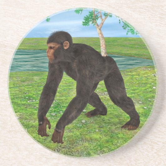 Dessous De Verre En Grès Chimpanzé (Devant)