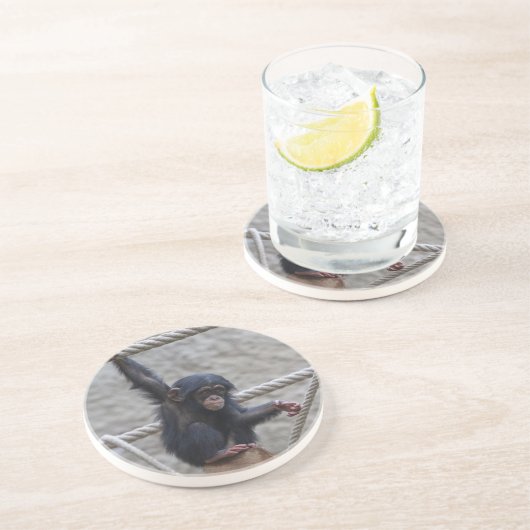 Dessous De Verre En Grès Chimpanzé 017 (Côté)
