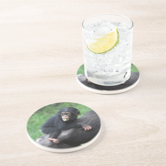 Dessous De Verre En Grès Chimpanzé 032 (Côté)