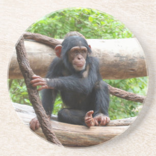 Dessous De Verre En Grès Chimpanzée 001