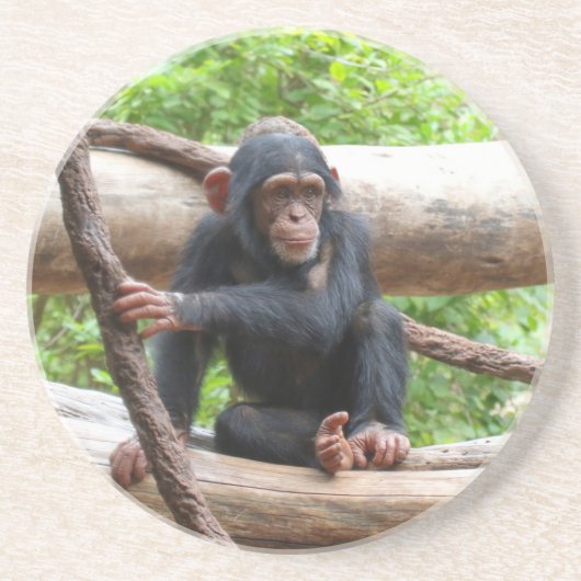 Dessous De Verre En Grès Chimpanzée 001 (Devant)