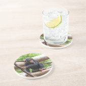 Dessous De Verre En Grès Chimpanzée 001 (Côté)