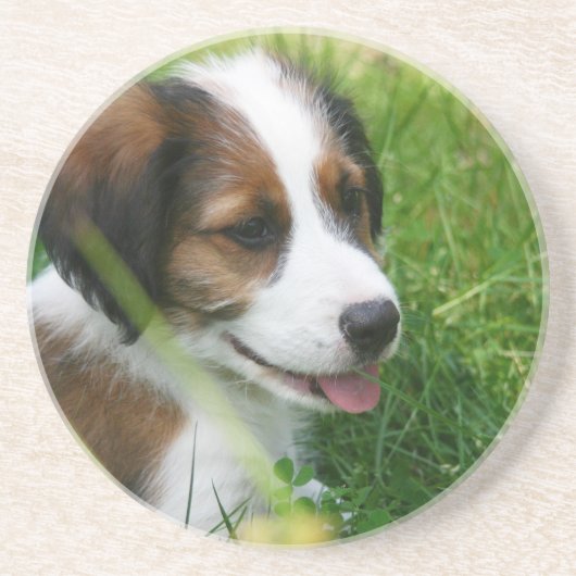Dessous De Verre En Grès Chiot (Devant)