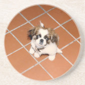 Dessous De Verre En Grès Chiot adorable de pékinois (Devant)