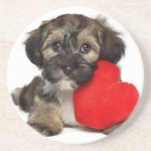 Dessous De Verre En Grès Chiot de Valentine Havanese d'amant (Devant)