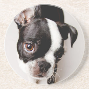 Dessous De Verre En Grès Chiot d'Edison Boston Terrier