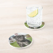 Dessous De Verre En Grès Chiot en carlin noir (Côté)