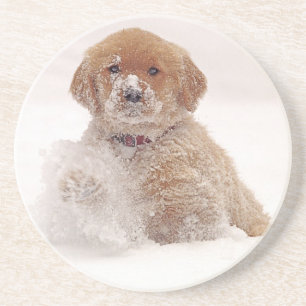 Dessous De Verre En Grès Chiots Golden Retriever dans la neige