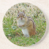 Dessous De Verre En Grès Chipmunk oriental (Devant)