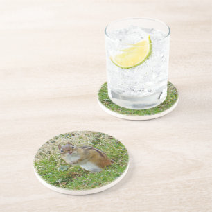 Dessous De Verre En Grès Chipmunk oriental
