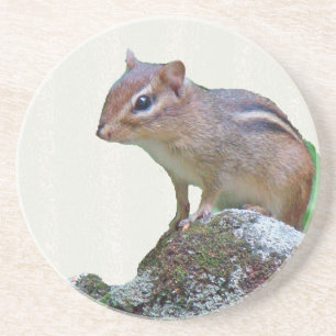 Dessous De Verre En Grès Chipmunk oriental sur Rock