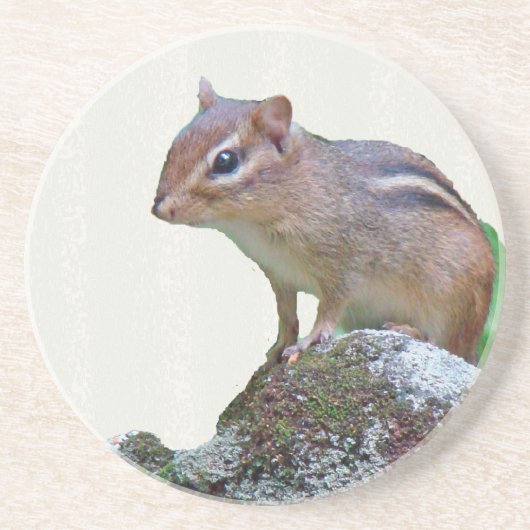 Dessous De Verre En Grès Chipmunk oriental sur Rock (Devant)