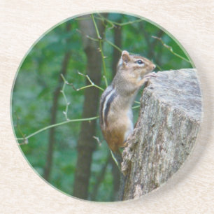 Dessous De Verre En Grès Chipmunk oriental sur Stump
