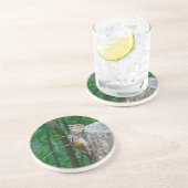 Dessous De Verre En Grès Chipmunk oriental sur Stump (Côté)