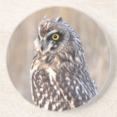 Dessous De Verre En Grès Chouette à courte portée dans les marais (Devant)