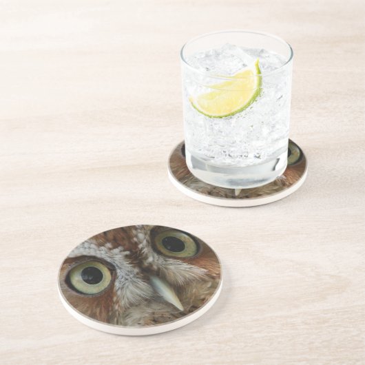 Dessous De Verre En Grès Chouette extrême (Côté)