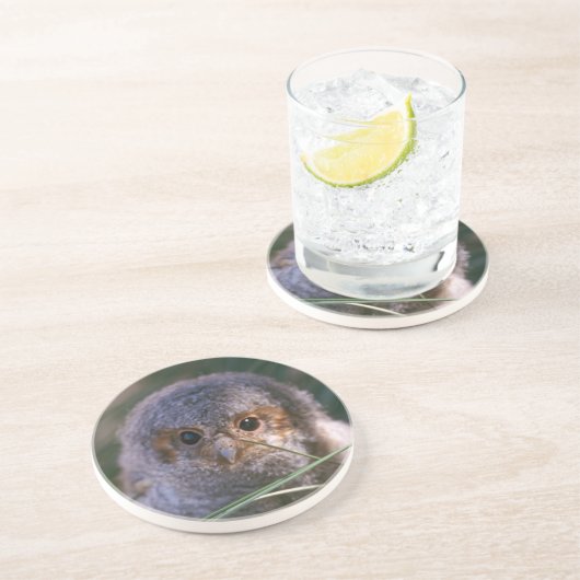 Dessous De Verre En Grès Chouette flammée (Côté)