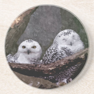 Dessous De Verre En Grès Chouette Harfang Couple Art Bois Faune