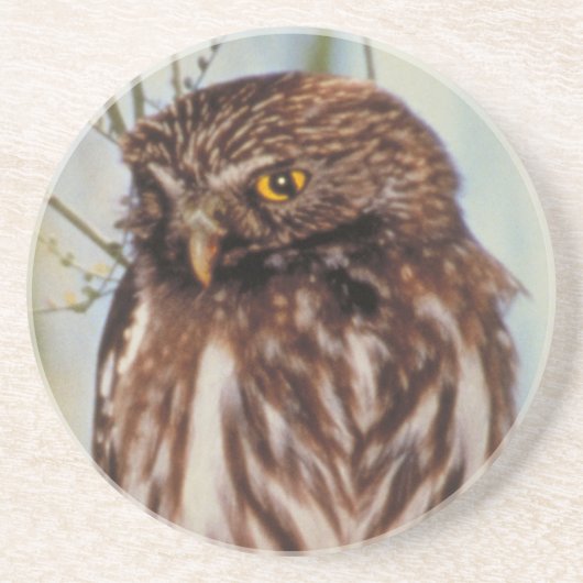 Dessous De Verre En Grès Chouette pygmée (Devant)