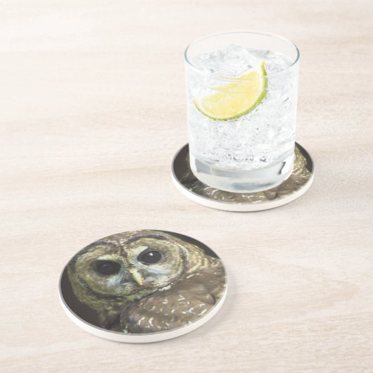 Dessous De Verre En Grès Chouette tachetée du Nord (Côté)