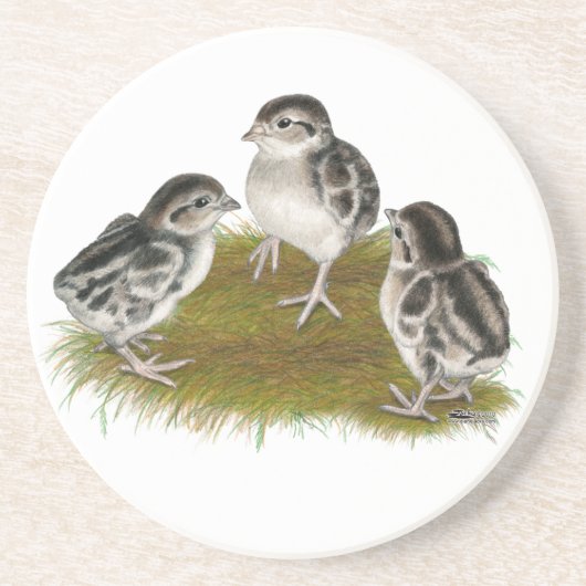 Dessous De Verre En Grès Chukar Partridge Chicks (Devant)