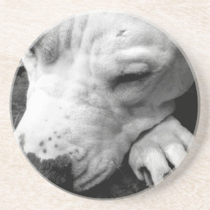 Dessous De Verre En Grès cicatrice de harry potter chien pit bull blanc