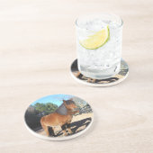 Dessous De Verre En Grès Ciel turquoise de poney Brown (Côté)