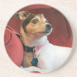 Dessous De Verre En Grès Classique