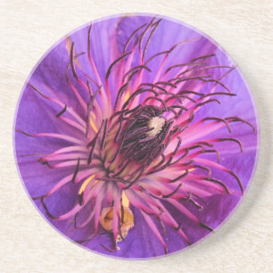 DESSOUS DE VERRE EN GRÈS CLEMATIS